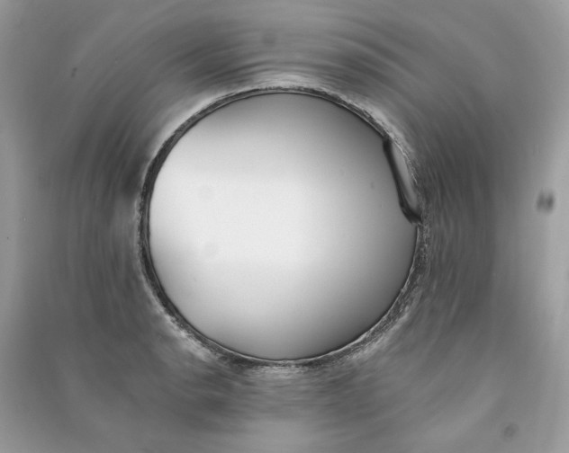 X0000090751134200708101719