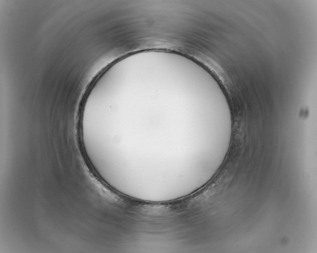 X0000090751135200708101719