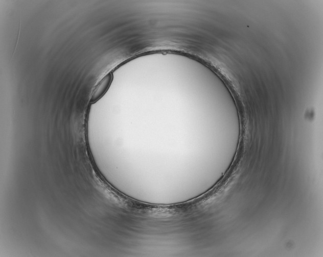 X0000090751137200708101719