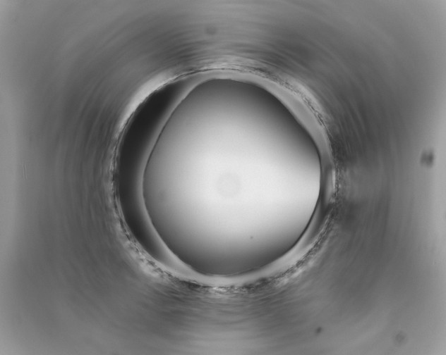 X0000090751138200708101719