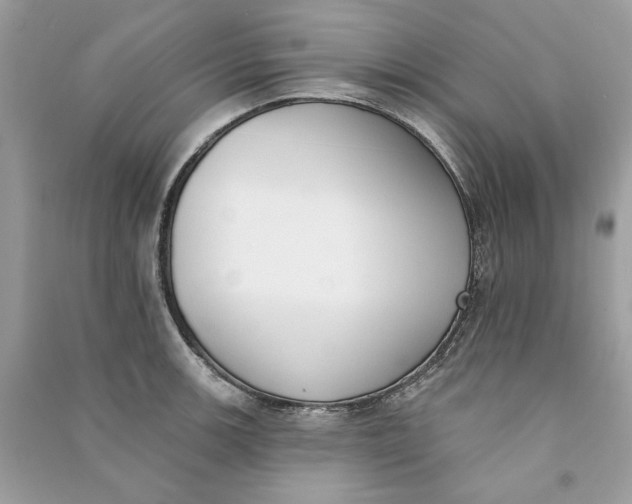 X0000090751139200708101719