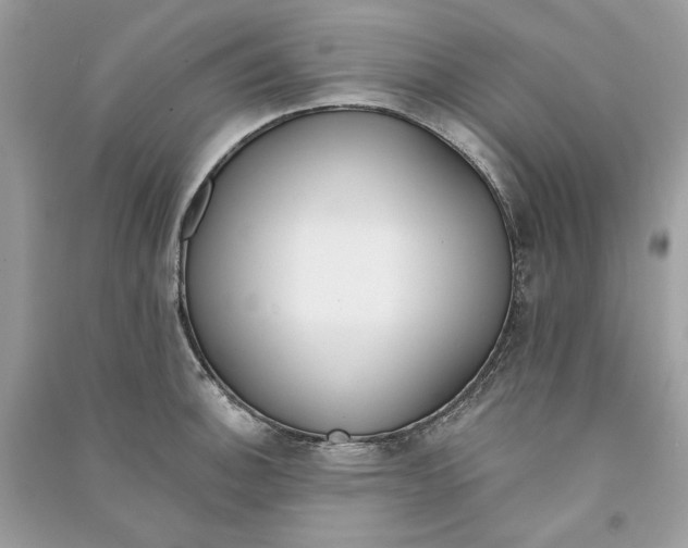 X0000090751140200708101719