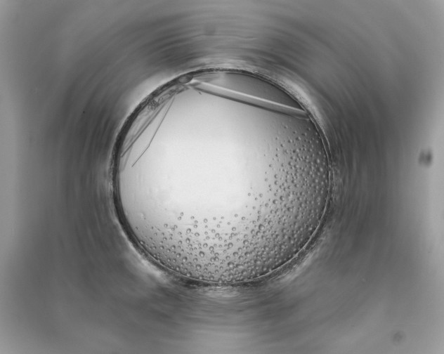 X0000090751141200708101719