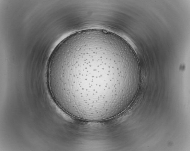 X0000090751142200708101719