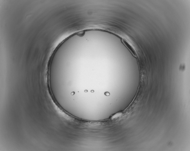 X0000090751143200708101719