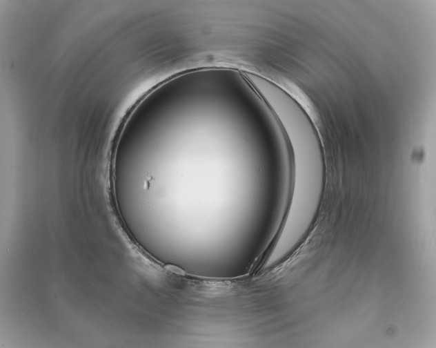 X0000090751144200708101719