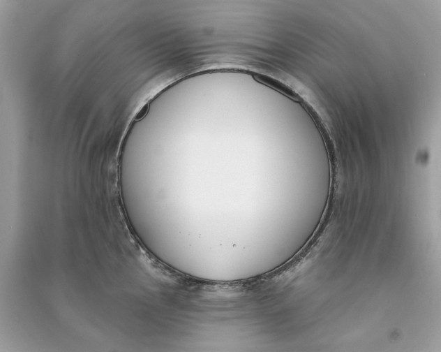 X0000090751145200708101719