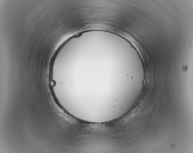 X0000090751147200708101719