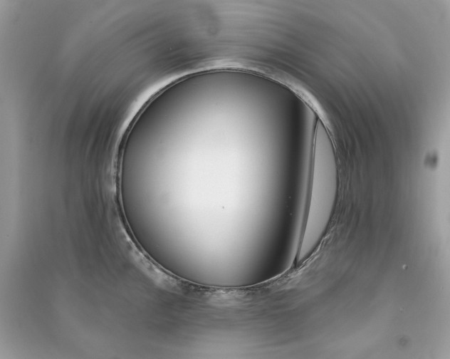 X0000090751148200708101719