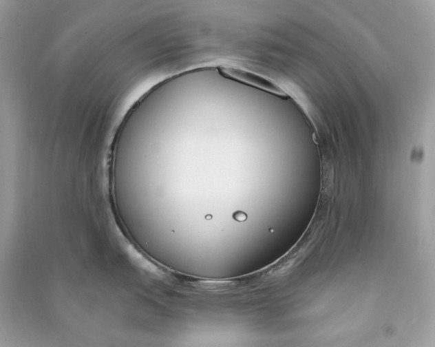 X0000090751151200708101719