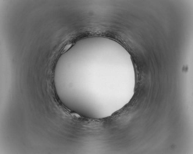 X0000090751153200708101719