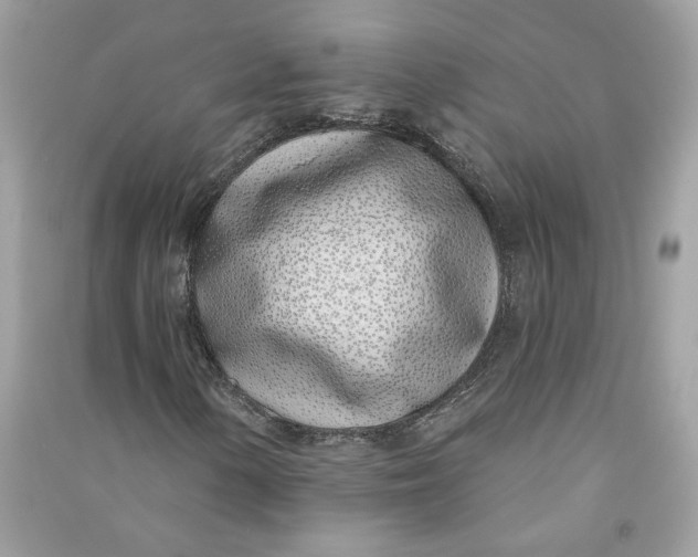 X0000090751154200708101719