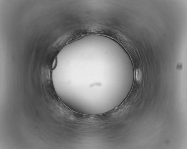 X0000090751155200708101719