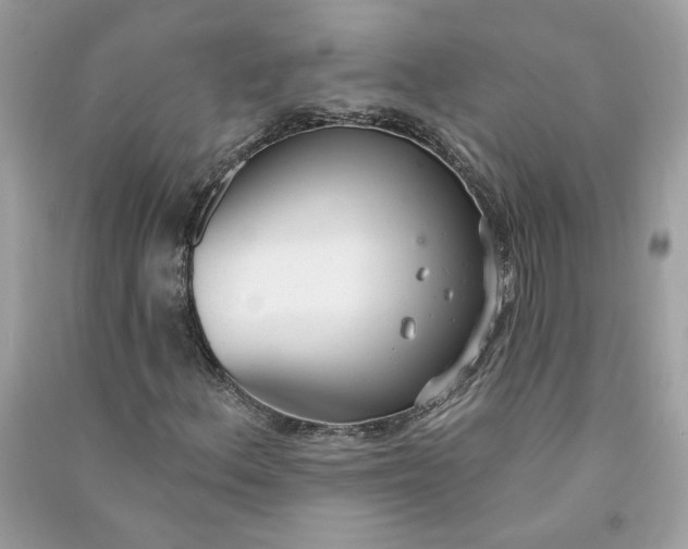 X0000090751156200708101719