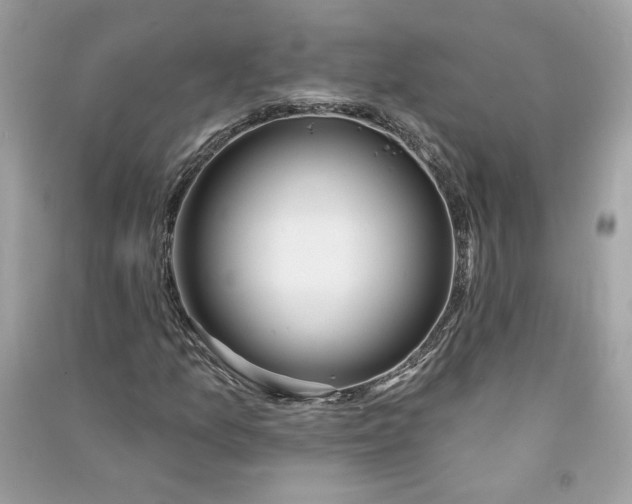 X0000090751157200708101719