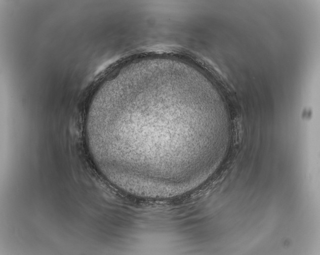 X0000090751158200708101719