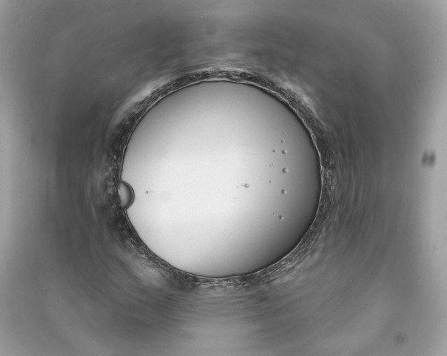 X0000090751159200708101718