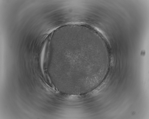 X0000090751161200708101718