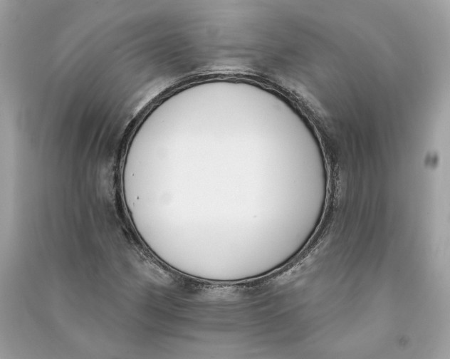 X0000090751162200708101718