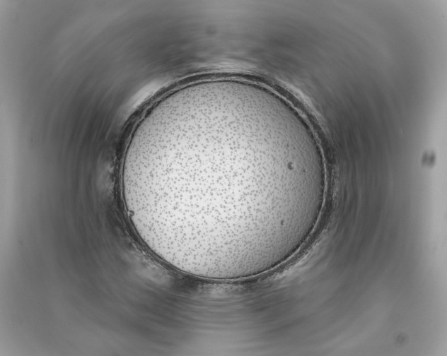 X0000090751163200708101718