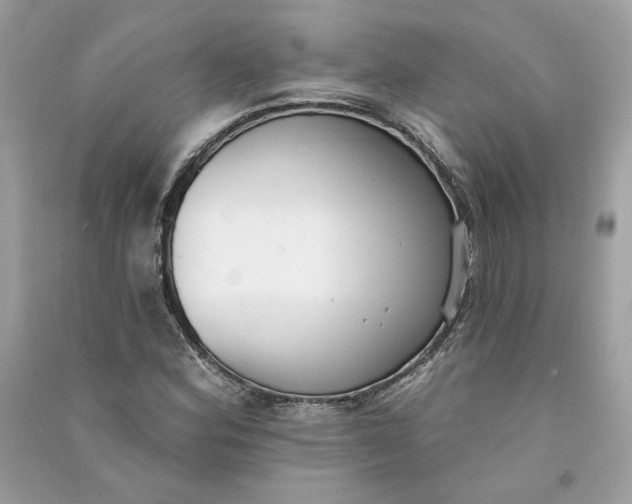 X0000090751164200708101718