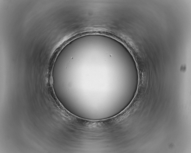 X0000090751165200708101718