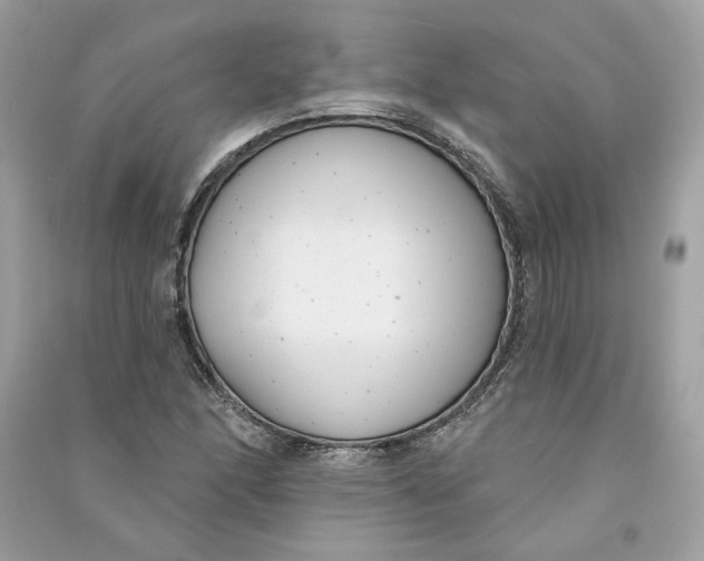 X0000090751166200708101718