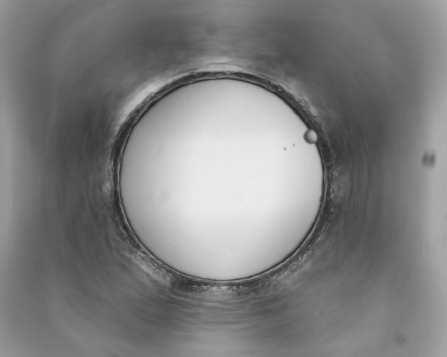 X0000090751167200708101718