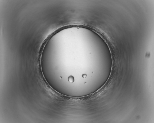 X0000090751168200708101718