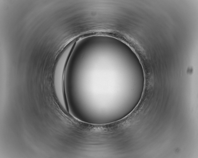 X0000090751169200708101718