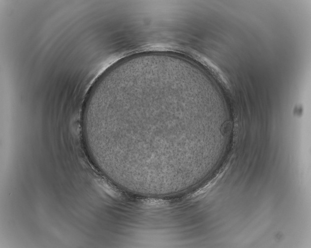 X0000090751170200708101718