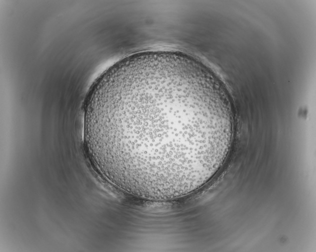 X0000090751171200708101718