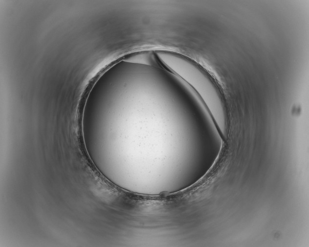 X0000090751173200708101718