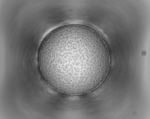 X0000090751174200708101718