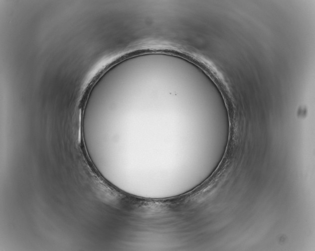 X0000090751175200708101718