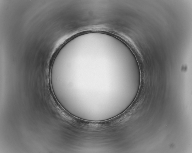 X0000090751176200708101718