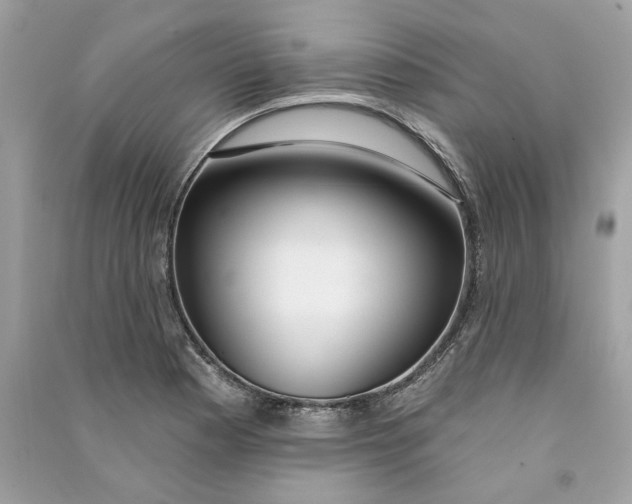 X0000090751177200708101718