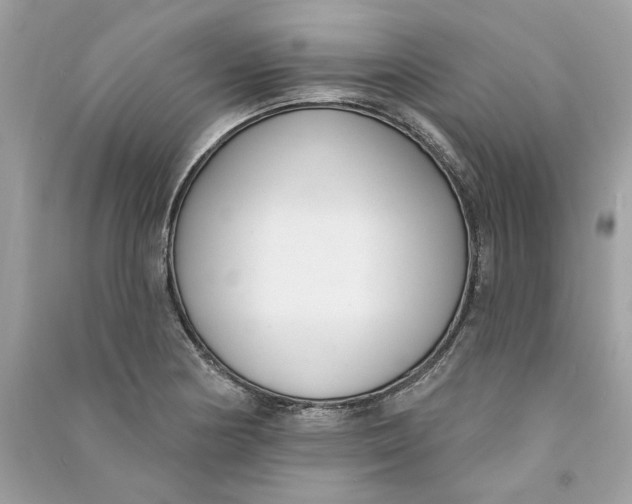 X0000090751178200708101718