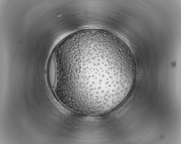 X0000090751179200708101718