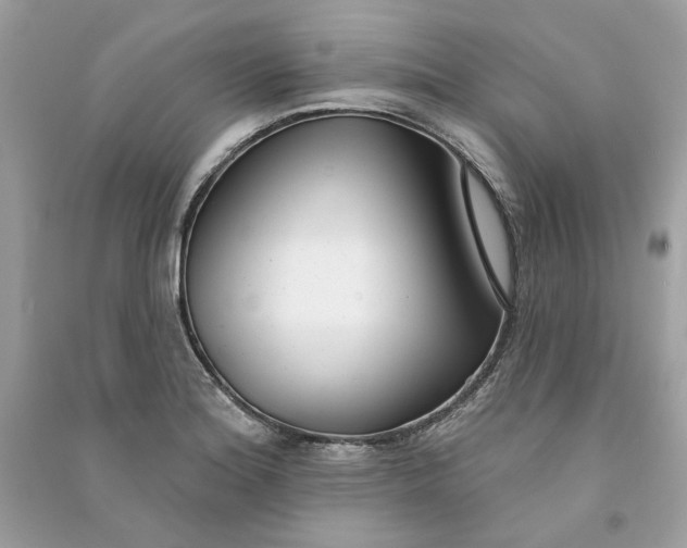 X0000090751180200708101718