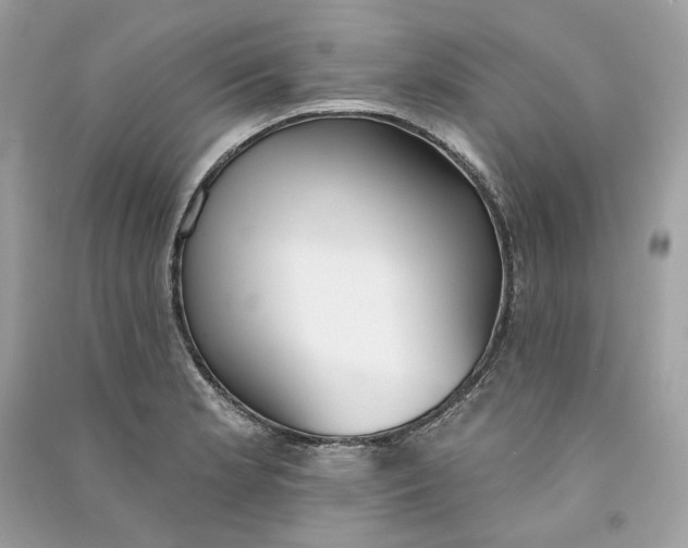 X0000090751181200708101718