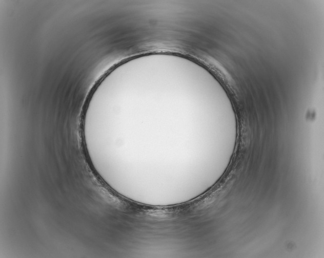 X0000090751182200708101718