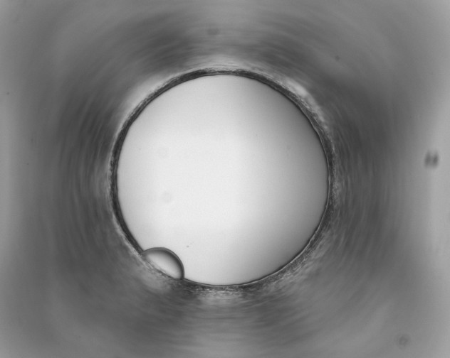 X0000090751183200708101718