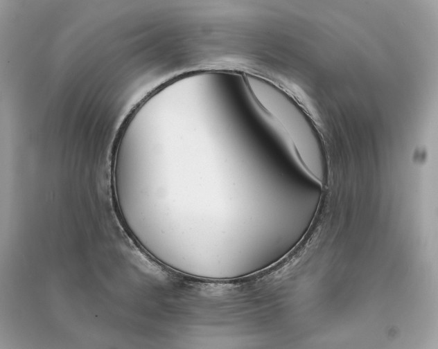 X0000090751184200708101718