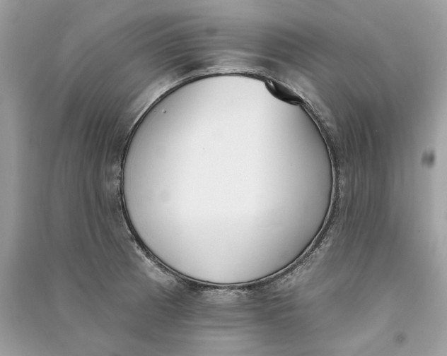 X0000090751185200708101718