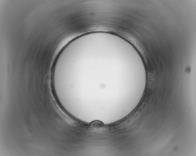 X0000090751187200708101718