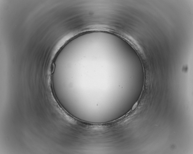 X0000090751188200708101718