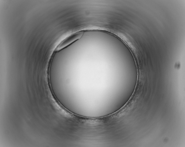 X0000090751189200708101718