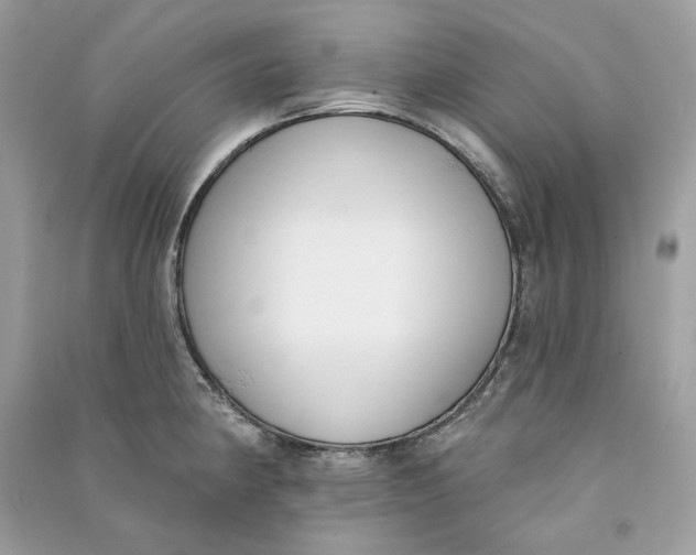 X0000090751190200708101718