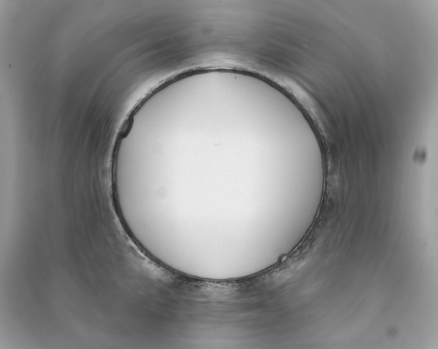 X0000090751191200708101718